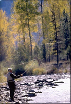 Conejos River Fly Fishing Northern New Mexico and Southern Colorado
